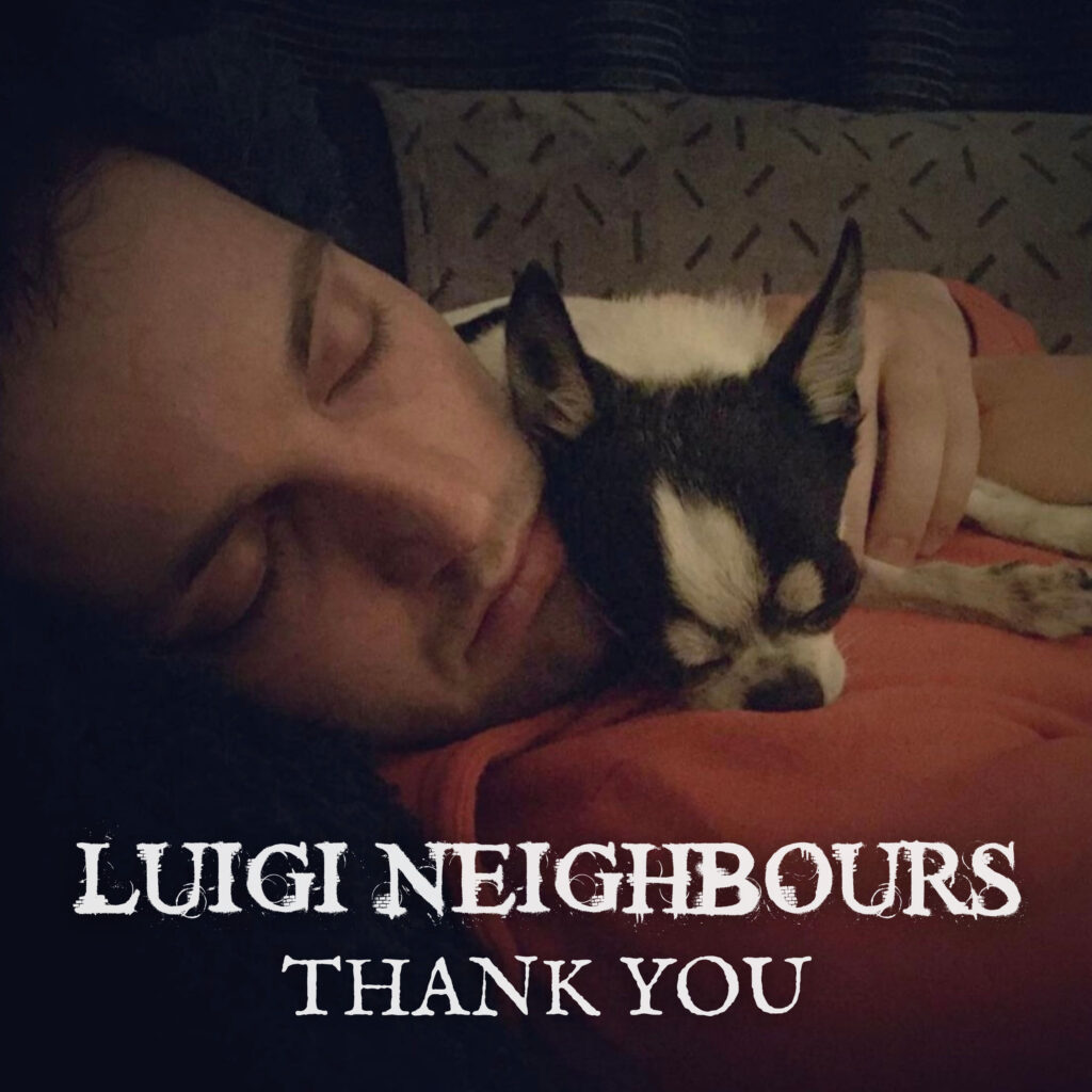 cover single art Luigi Neighbours Thank You