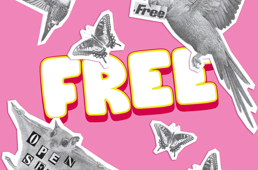  Nuevas voces del indie, reggae y rap que rompen fronteras