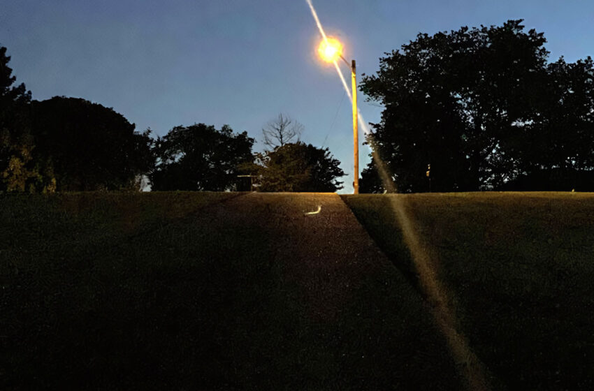  Cuatro canciones que exploran vulnerabilidad y deseo