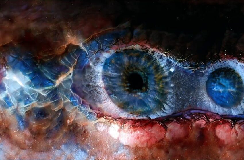  Rupert Träxler y el viaje interior del alma moderna