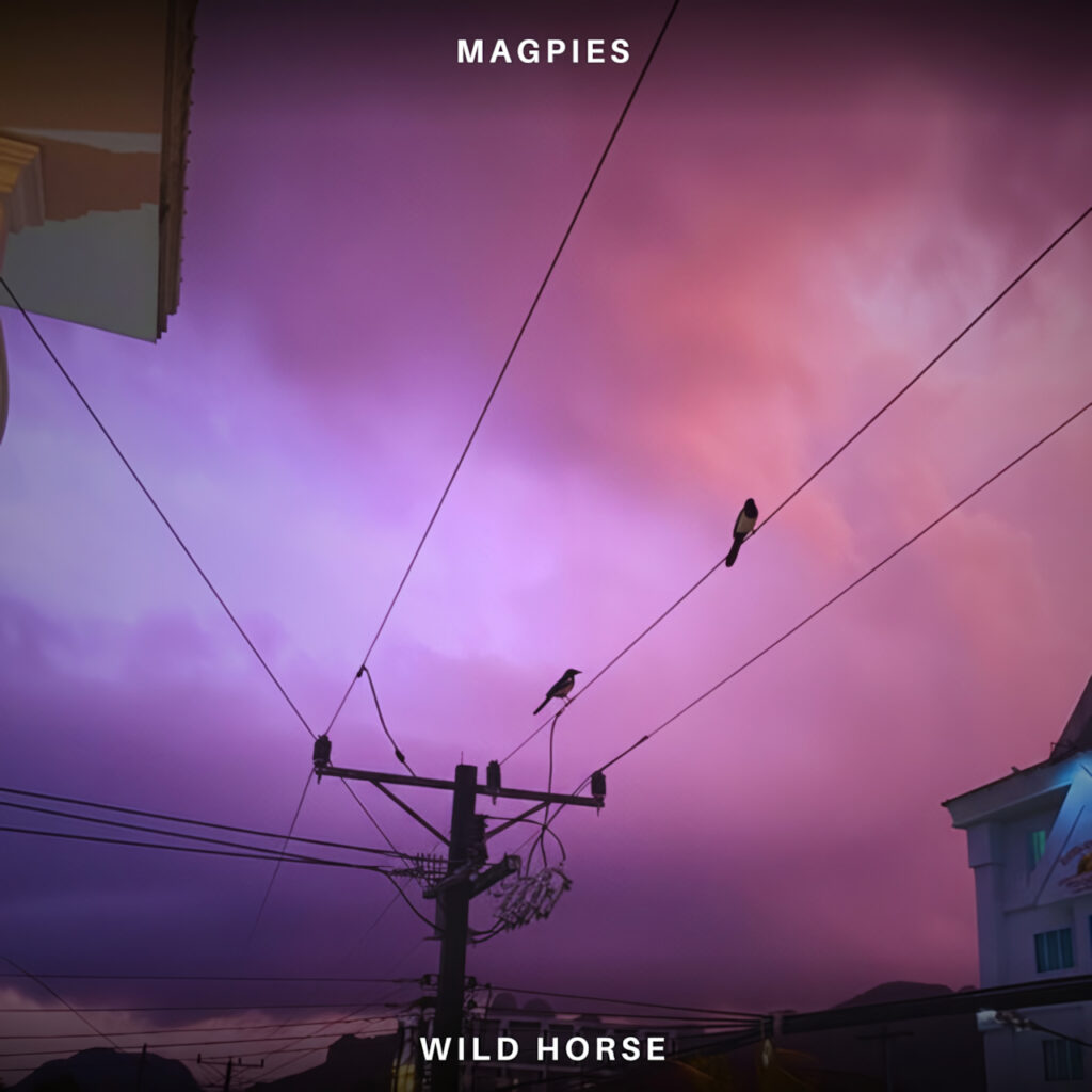 cover single art Wild Horse Magpies