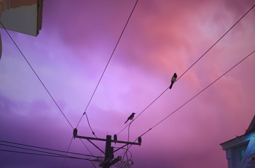  “Magpies”, el himno de confianza y energía de Wild Horse