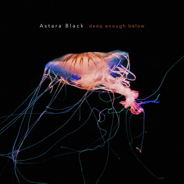 Humor, Memoria y Distorsión: Cuatro Miradas Sonoras del Presente