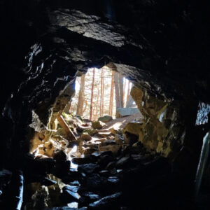 Golpes, grietas y catarsis: cuatro canciones para sobrevivir