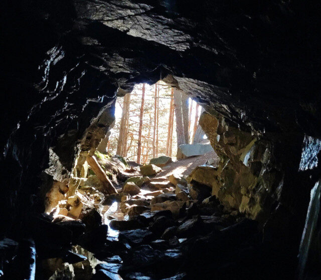  Golpes, grietas y catarsis: cuatro canciones para sobrevivir