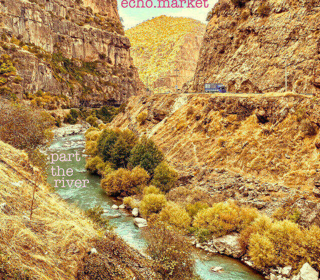  Entre alas, sombras y ríos: canciones para avanzar sin mirar atrás