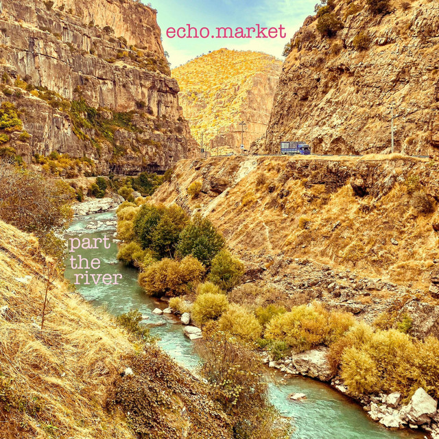 Entre alas, sombras y ríos: canciones para avanzar sin mirar atrás