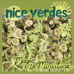 Nice Verdes celebra el folk global en “Magic in Minutiae”