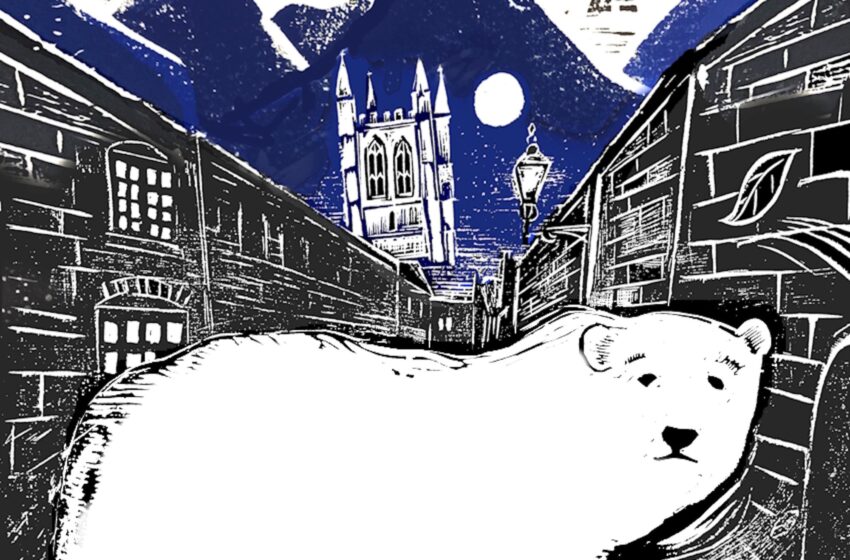  “Polar Bear”: el invierno mágico y acústico de Ed Boxall