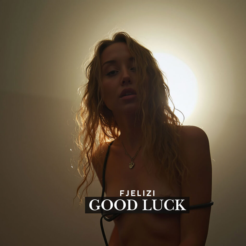 cover single art FJELIZI Good luck