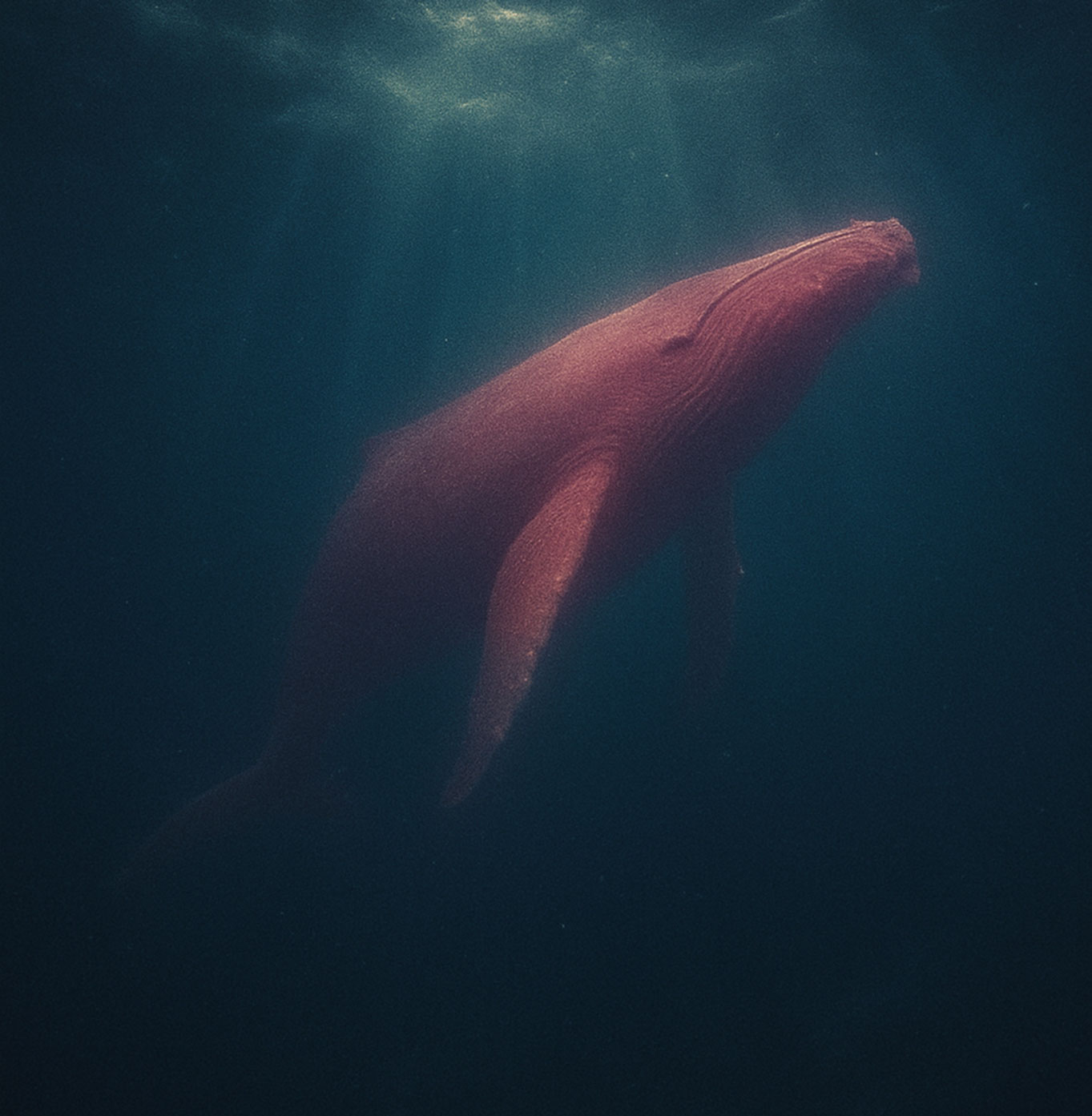 MatAre se sumerge en la calma oscura de “Into the Sea”