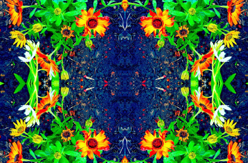  Pablo Parada transforma la tristeza en refugio sonoro