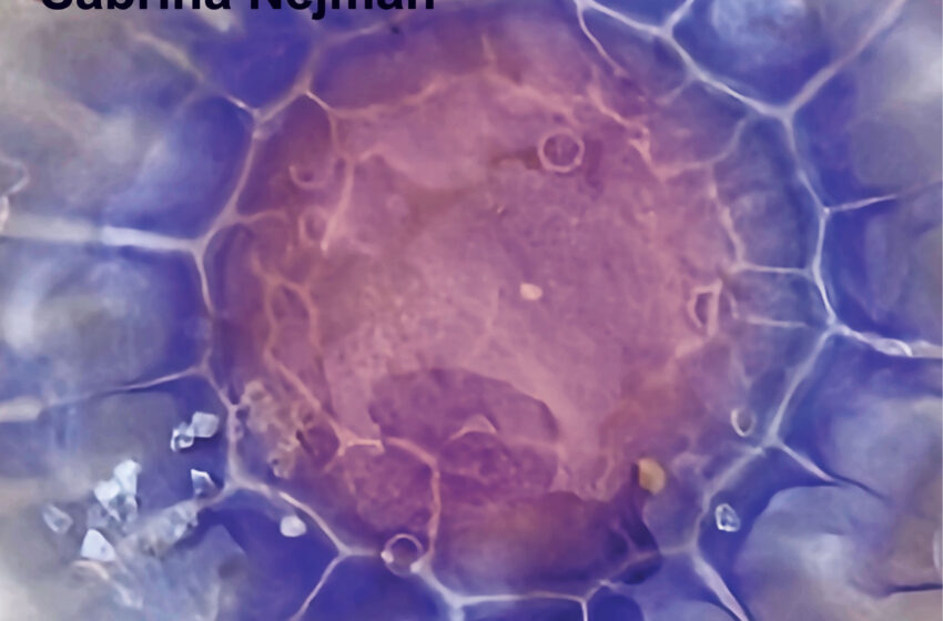  Sabrina Nejmah y “Don’t You Worry”, pop íntimo desde Alemania