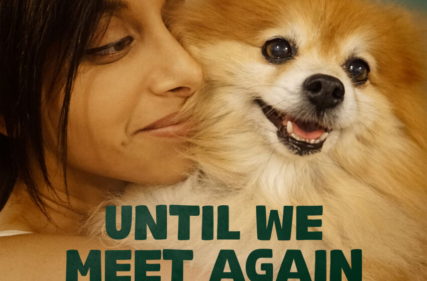  Pop íntimo y catártico para sanar el corazón herido