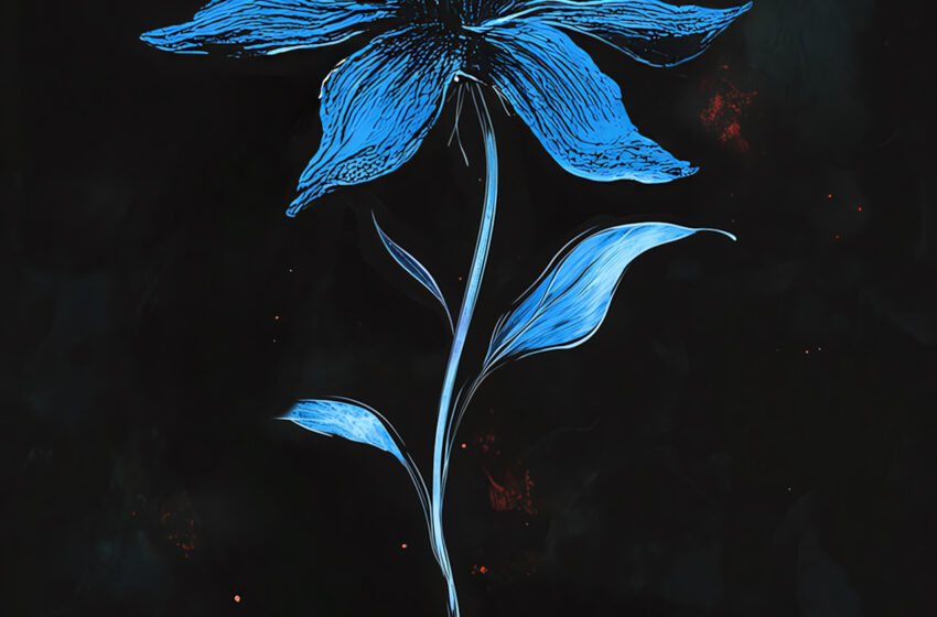  Metal, rap y emociones: un viaje por escenas europeas