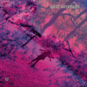 “Sakura”: el oscuro sueño post-punk de West Wickhams