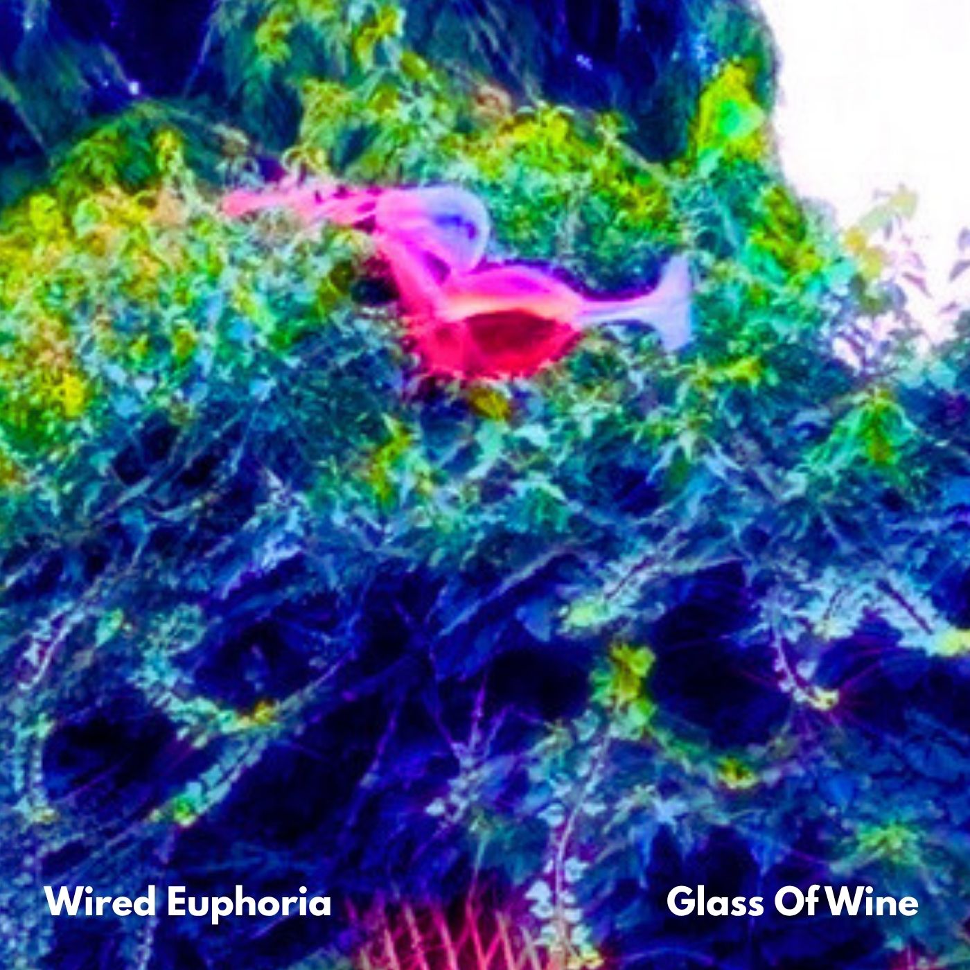 Wired Euphoria presenta “Glass of Wine”, rock íntimo y crudo
