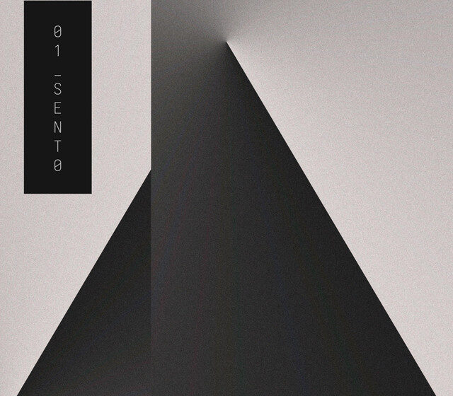  Desde la afirmación, la duda, la inmersión y la sátira