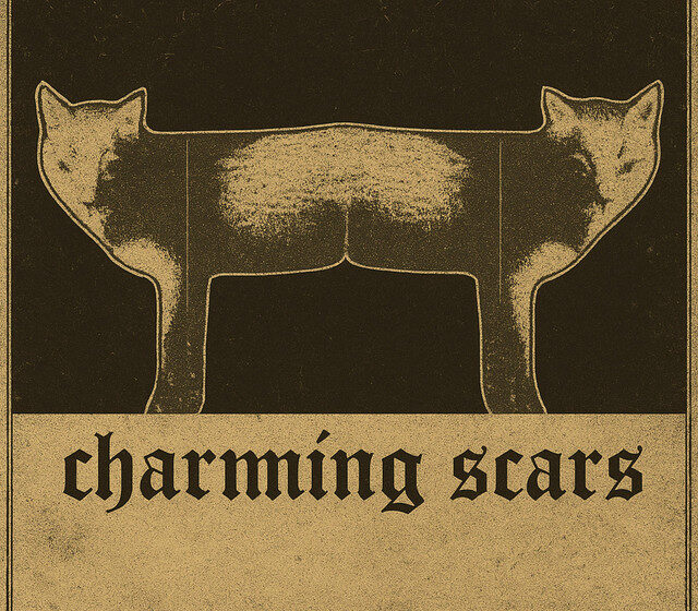  Rituales de Ruido, Raíz y Resistencia