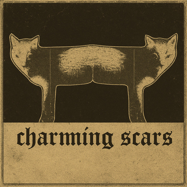 Rituales de Ruido, Raíz y Resistencia