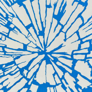 Entre la tormenta y el pulso interior