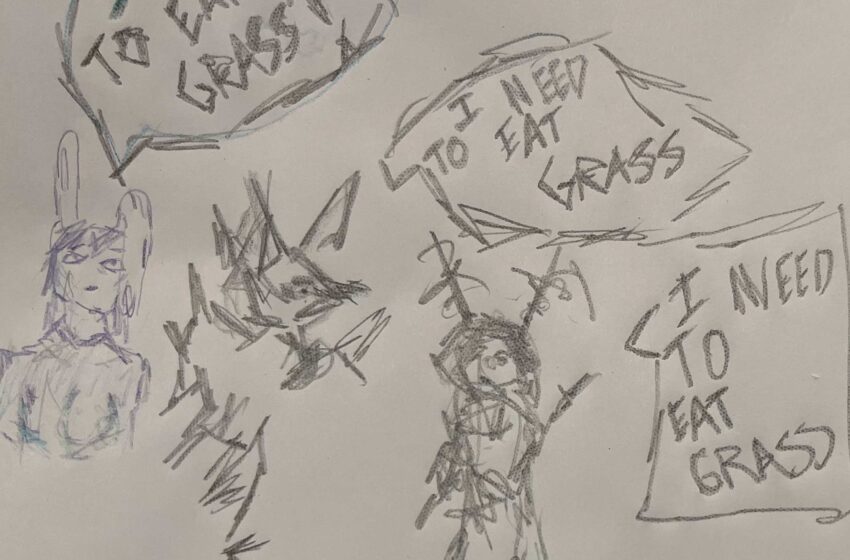  looking for a shoegaze drummer: Un grito electrónico desde Arizona