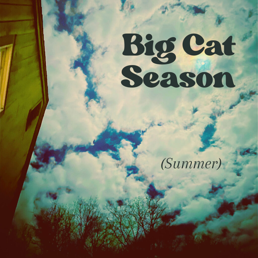 cover single art Big Cat Season Im in the Wrong