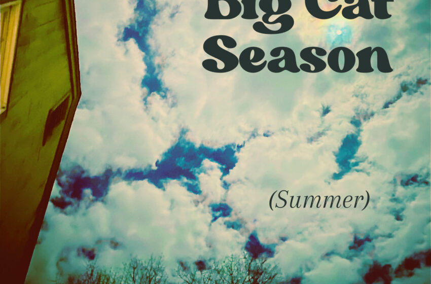  Big Cat Season explora la nostalgia en “In the Wrong”