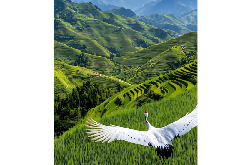  Brian Mullins revive la nostalgia en “Hills of West Virginia”