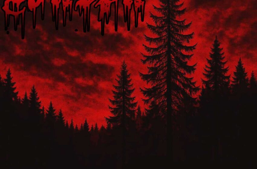  Metal extremo, rock alternativo y reggae rebelde sin filtros