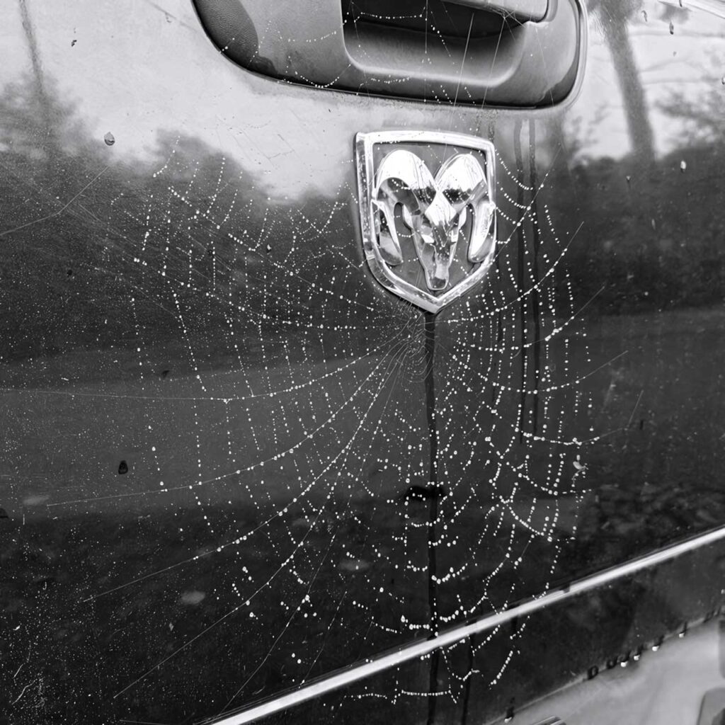 cover single art The Blood Curdles Bind