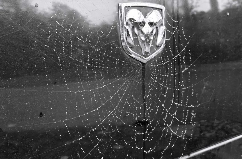  Punk, rap metal y catarsis emocional desde EE. UU.