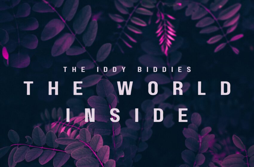  The Iddy-Biddies exploran la intimidad en “The World Inside”