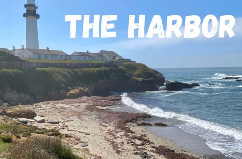  Ulrich Jannert reflexiona sobre elegir seguridad o libertad