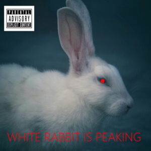 WEIGHT BELLY .3-9 reimagina el nu-metal en “White Rabbit”