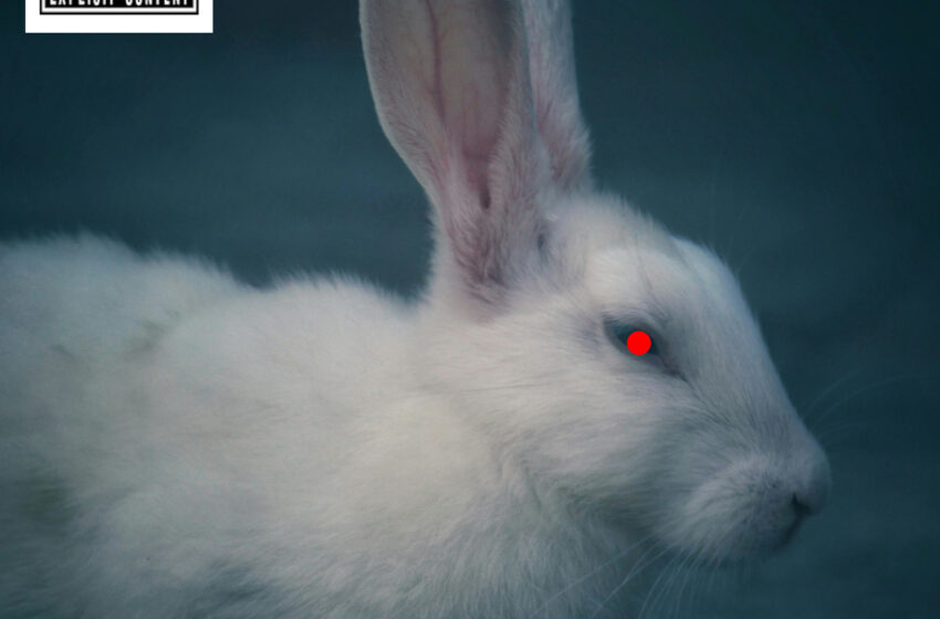  WEIGHT BELLY .3-9 reimagina el nu-metal en “White Rabbit”