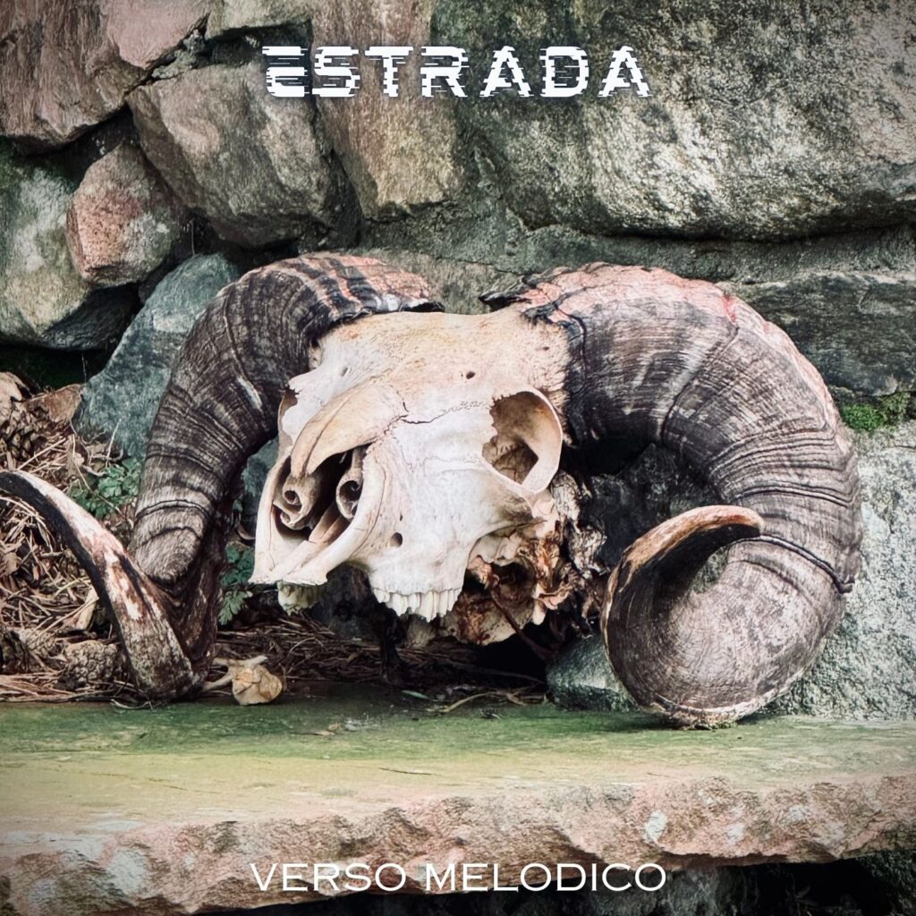 cover single art ESTRADA Music Project Verso Melodico