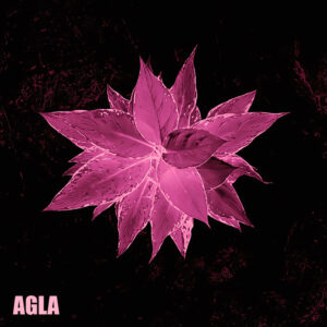 JaR lanza “Agla”, un manifiesto de metal alternativo