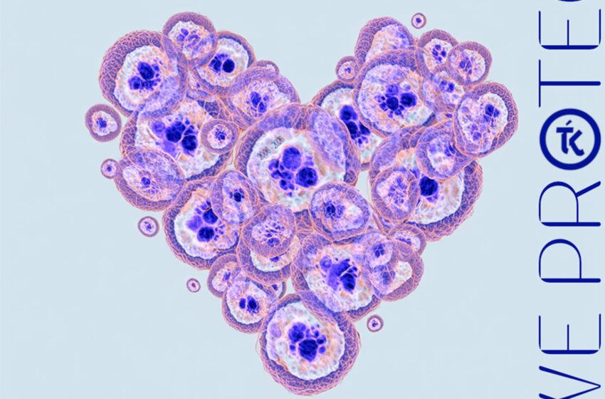  The Kiss That Took A Trip reflexiona en “We Are What We Protect”