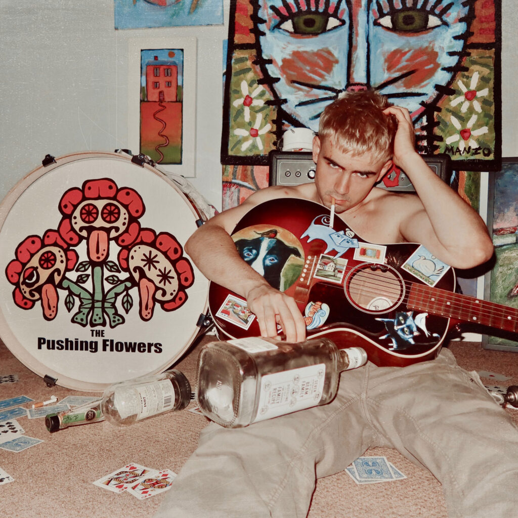 cover single art The Pushing Flowers cartoon world