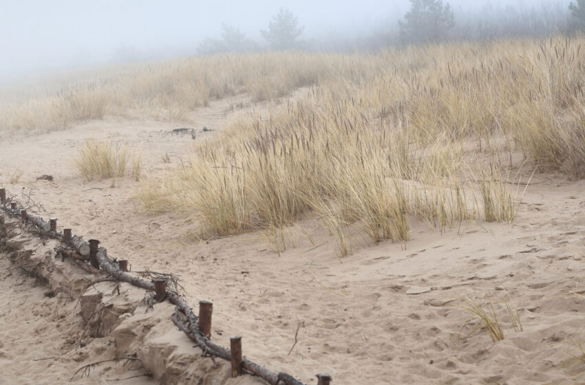  Vik Ho estrena “At the Shore”: Paisajes sonoros