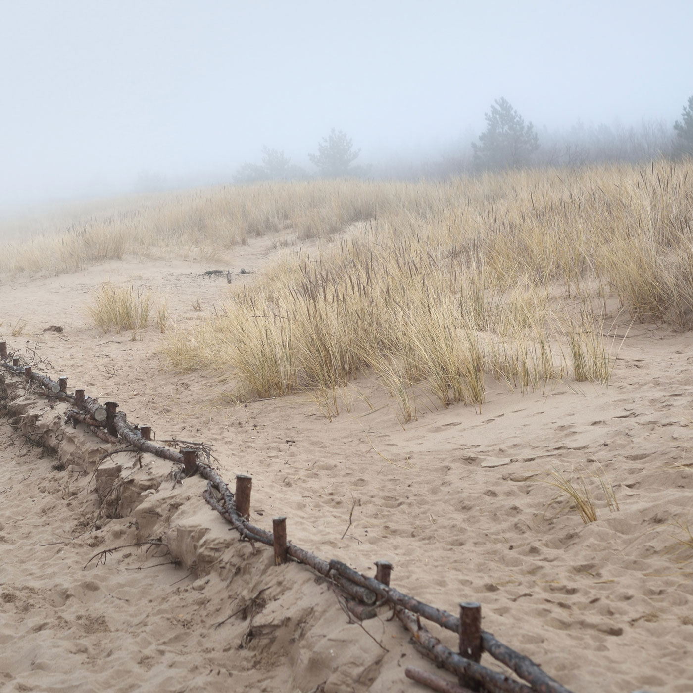 Vik Ho estrena “At the Shore”: Paisajes sonoros