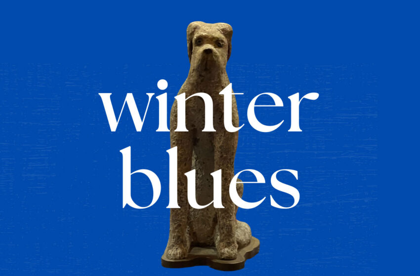  Violet Whimsey y el hechizo de “Winter Blues”