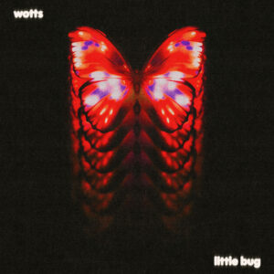 Wotts explora la pérdida en “little bug”