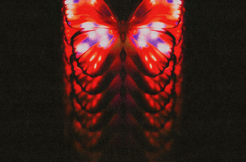  Wotts explora la pérdida en “little bug”