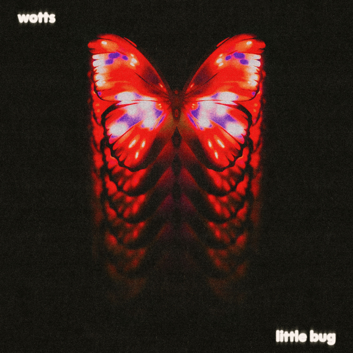 Wotts explora la pérdida en “little bug”