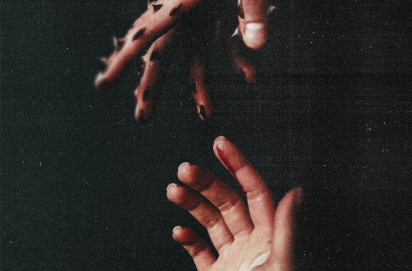  <3peace. transforma el dolor en “TRAUMA BOND”