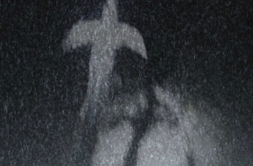  Nuevas canciones sobre amor, caos y realidad