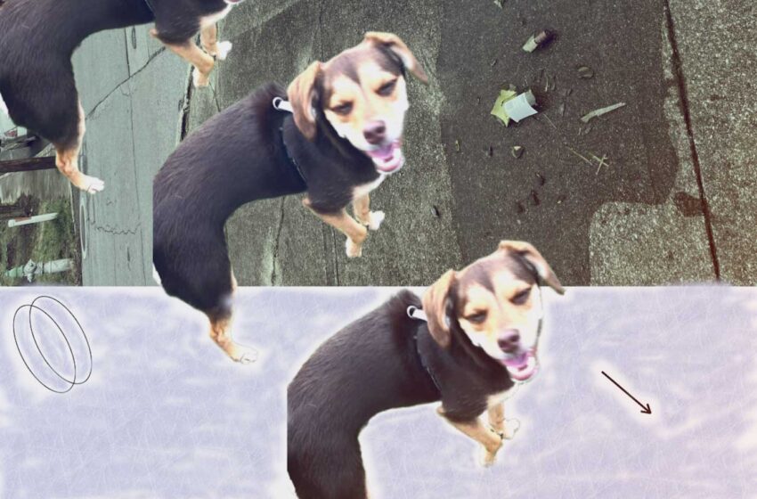  Mahto & The Loose Balloons capturan magia en “On Air”