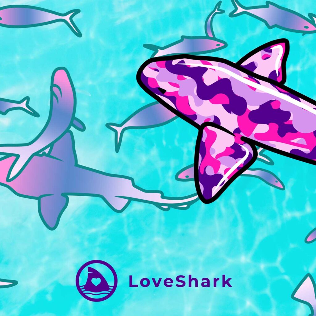 cover EP art The Floodshark LoveShark